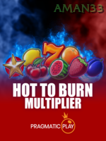 Hot To Burn Multiplier game cover